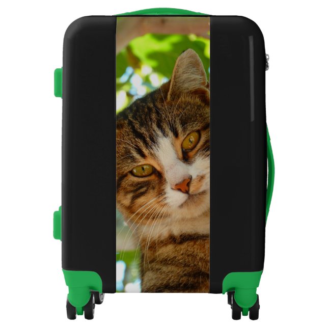 Cat Climbing a Tree Luggage (Front)