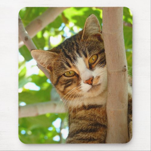 Cat Climbing a Tree Mouse Pad