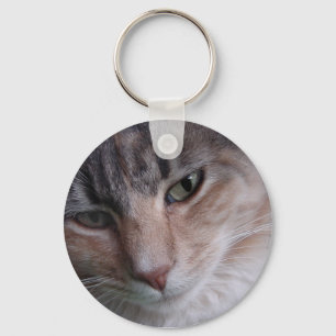 Cat close-up keychain