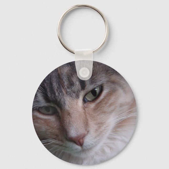 Cat close-up keychain (Front)