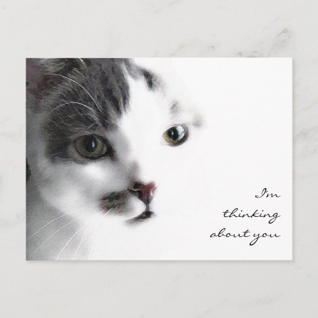 Cat Close-up Thinking About You Postcard (Front)