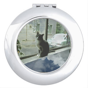 cat cloudy day slant six car compact mirror