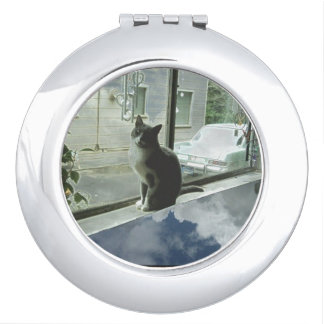 cat cloudy day slant six car compact mirror