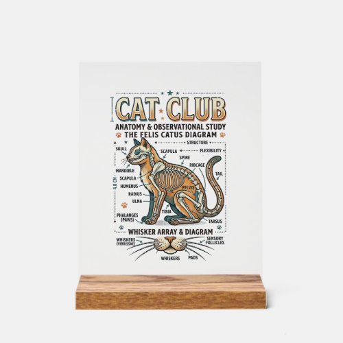 Cat Club Cat Anatomy Scientific Diagram Vintage Ve Acrylic Sign