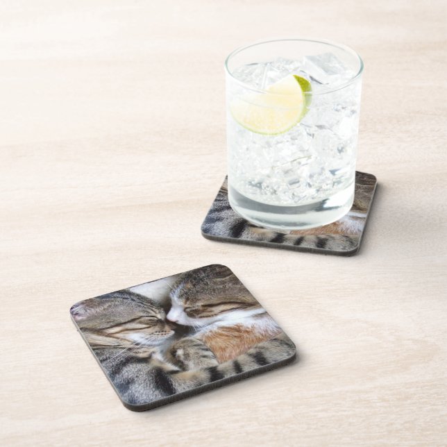 Cat Coasters (Right Side)