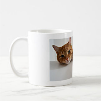 Cat coffee mug