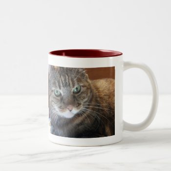Cat Coffee Mug by DonnaGrayson at Zazzle