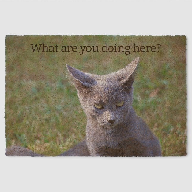 Cat Coir Mat (Front)