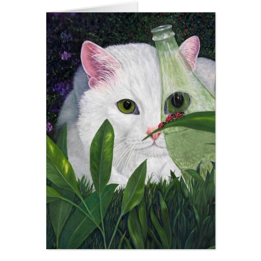 Cat, Coke Bottle and Ladybugs Cards (Front)