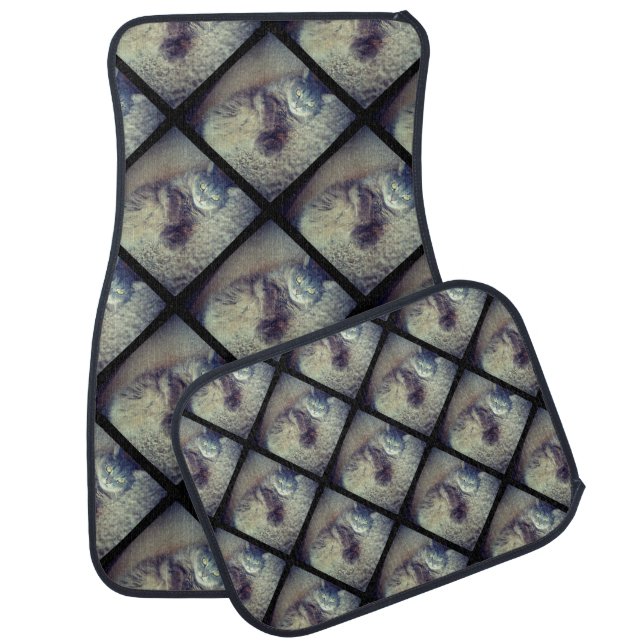 Cat Collage by Shirley Taylor Car Mat (Set)