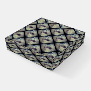 Cat Collage by Shirley Taylor Paperweight