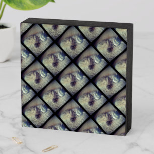 Cat Collage by Shirley Taylor Wooden Box Sign