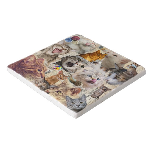Cat Collage Marble Trivet (Corner)