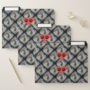 Cat Collage with Paw Prints by Shirley Taylor File Folder