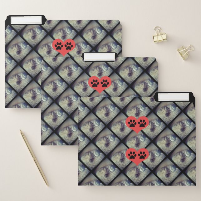 Cat Collage with Paw Prints by Shirley Taylor File Folder (Set)