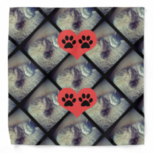 Cat Collage with PawPrints by Shirley Taylor Bandana