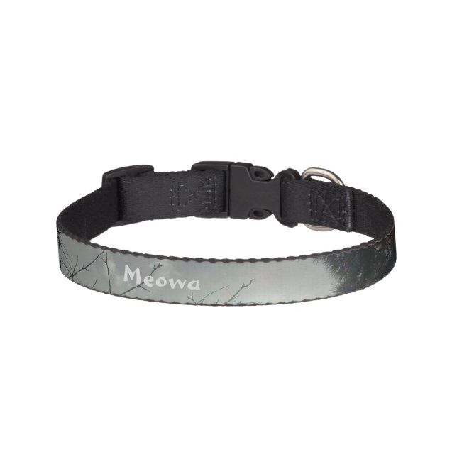 CAT COLLAR ART STYLE DESIGN (Front)