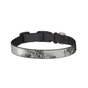 Cat Collar Cool eco style design