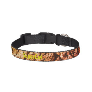 CAT COLLAR STYLE DESIGN