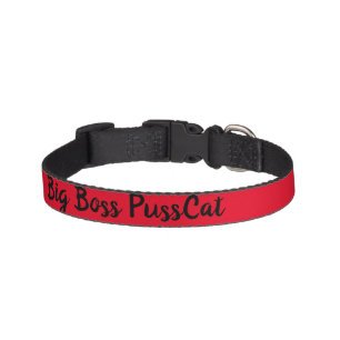 CAT COLLAR STYLE DESIGN