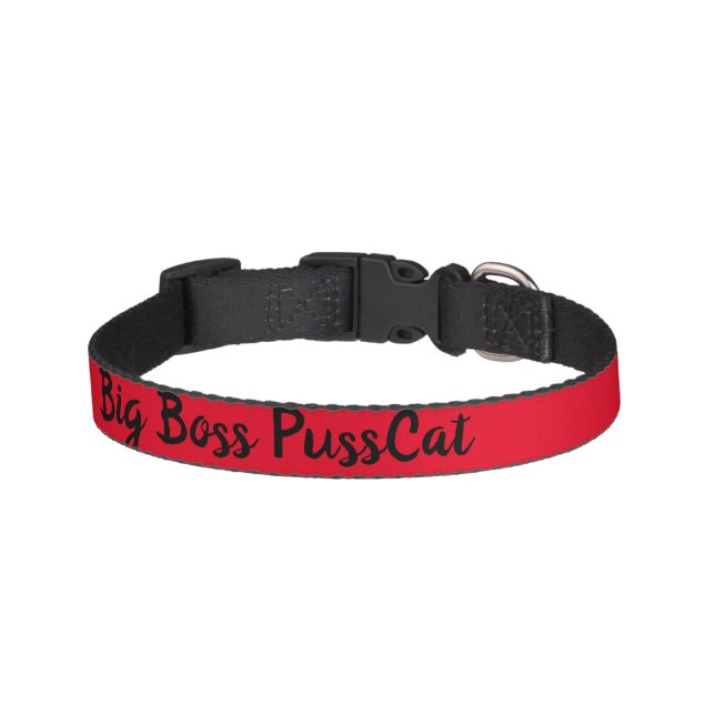 CAT COLLAR STYLE DESIGN (Front)