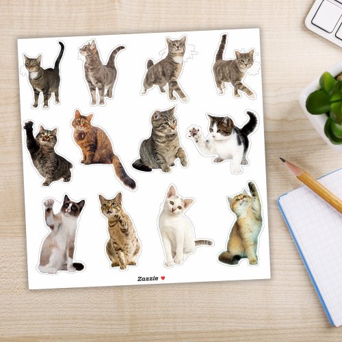Cat Collection Stickers