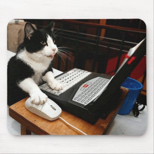 CAT COMPUTER MOUSEPAD