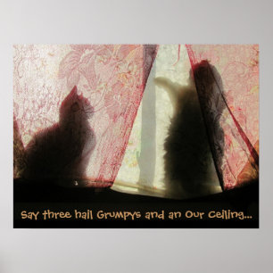 Cat Confessions Poster