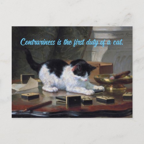 Cat Contrariness  Postcard