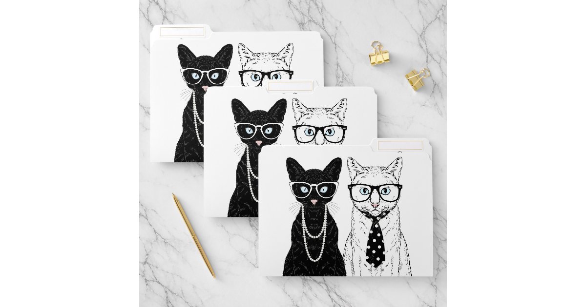File Folder Cat Cat Couple File Folder | Zazzle