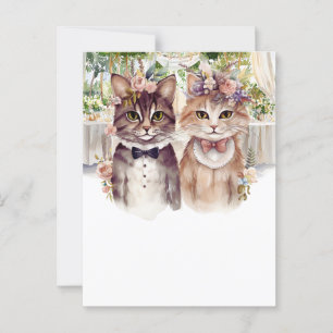 Cat Couple watercolor Postcard