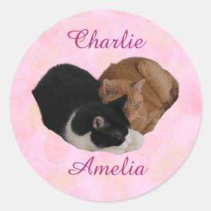 Cat Couple Your Names Classic Round Sticker