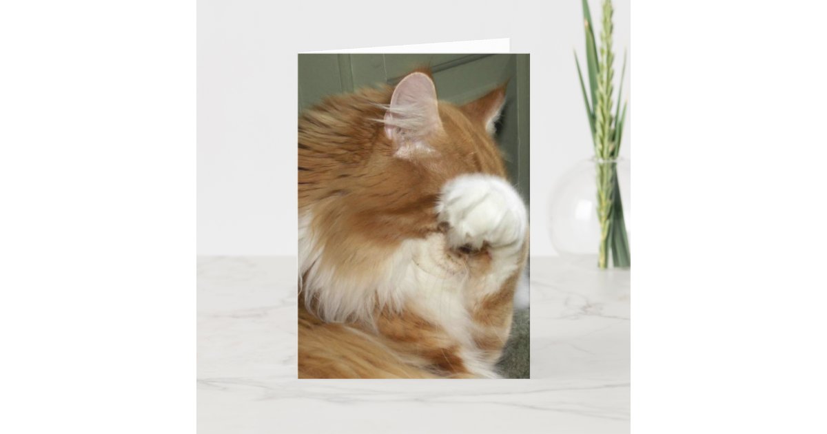 Cat Covering Eyes Card Zazzle