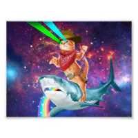 cat riding shark rainbow