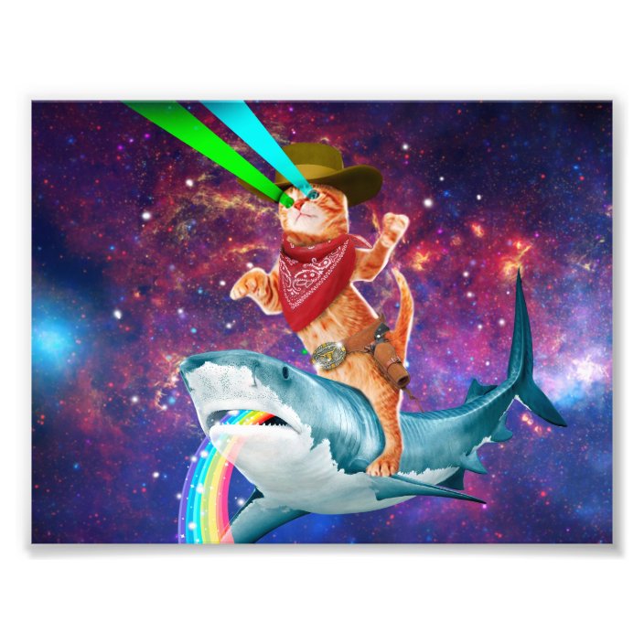 Cat Cowboy riding a Shark spewing a Rainbow Photo Print | Zazzle.com