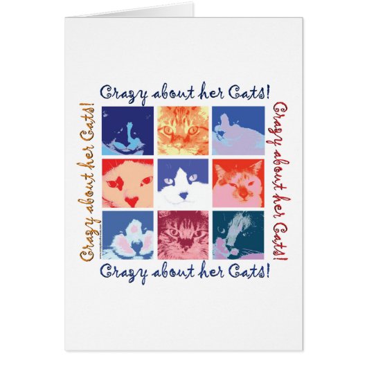Cat Crazy Cards (Front)