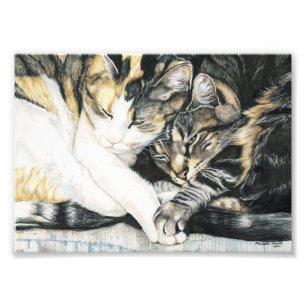 Cat Cuddle Art Print