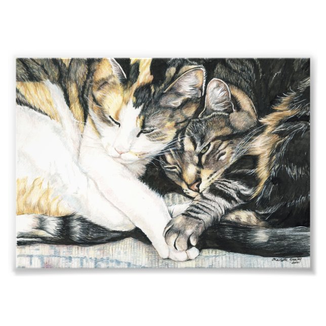 Cat Cuddle Art Print (Front)