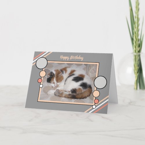 Cat curled up asleep photo coral gray birthday card