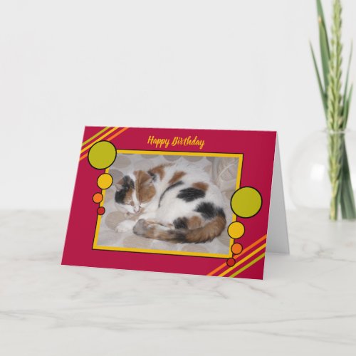 Cat curled up asleep photo green card