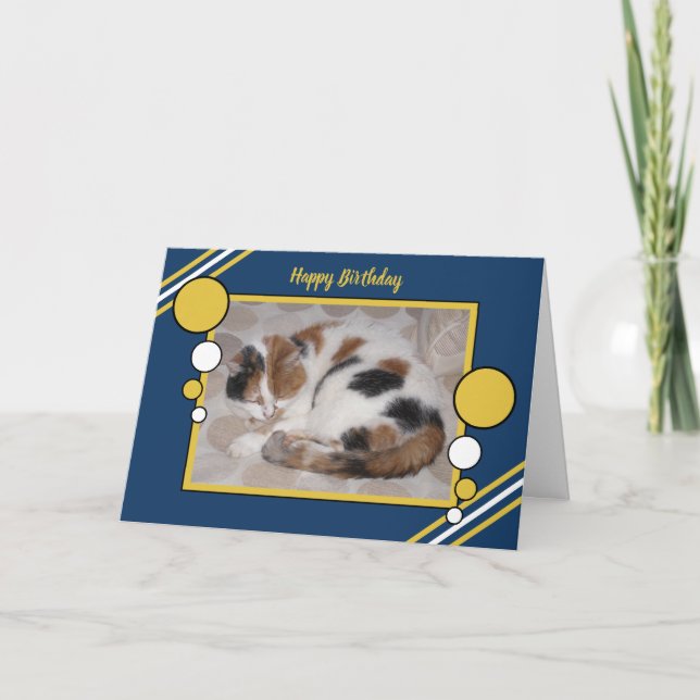 Cat curled up asleep photo navy gold birthday card (Front)