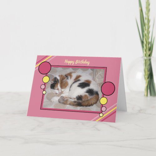 Cat curled up asleep photo pink yellow birthday card