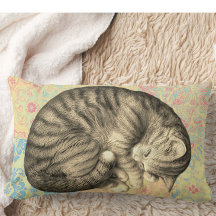 Cat curled up sleeping on quilt cute cozy