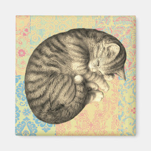 Cat curled up sleeping on quilt cute cozy magnet