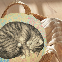 Cat curled up sleeping on quilt cute cozy