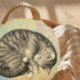 Cat curled up sleeping on quilt cute cozy