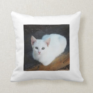 Cat Cushion