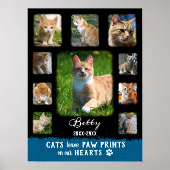 Cat Custom Photo Collage Faded Borders Black Blue Poster by PictureCollage at Zazzle