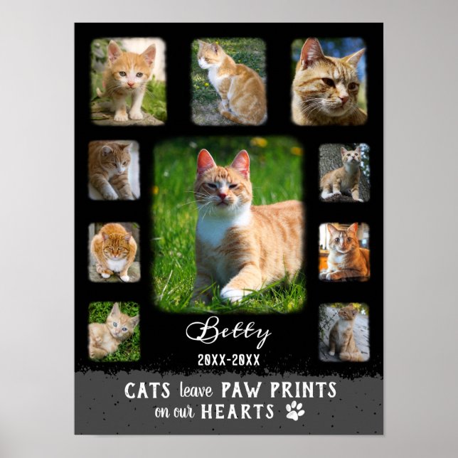 Cat Custom Photo Collage Faded Borders Black Gray Poster (Front)