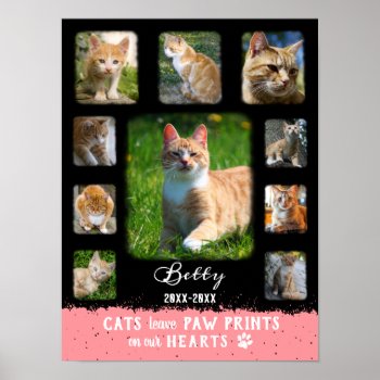 Cat Custom Photo Collage Faded Borders Black Pink Poster by PictureCollage at Zazzle